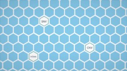 Healthcare Animation honeycomb screenshot