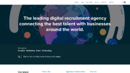 Salt Recruitment website animation